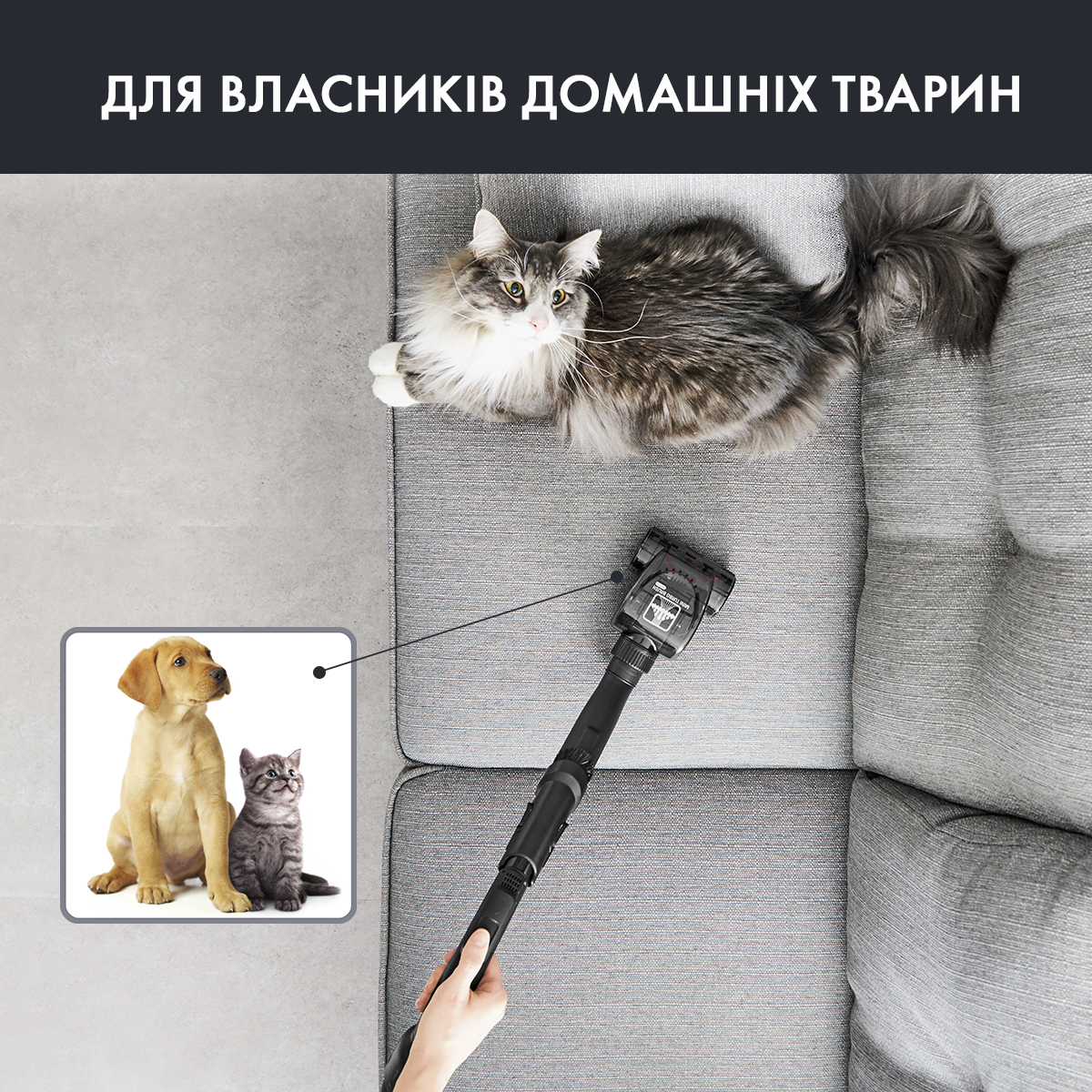 пилосос для собак