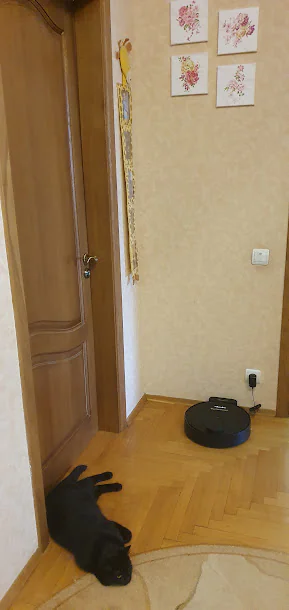 Марина