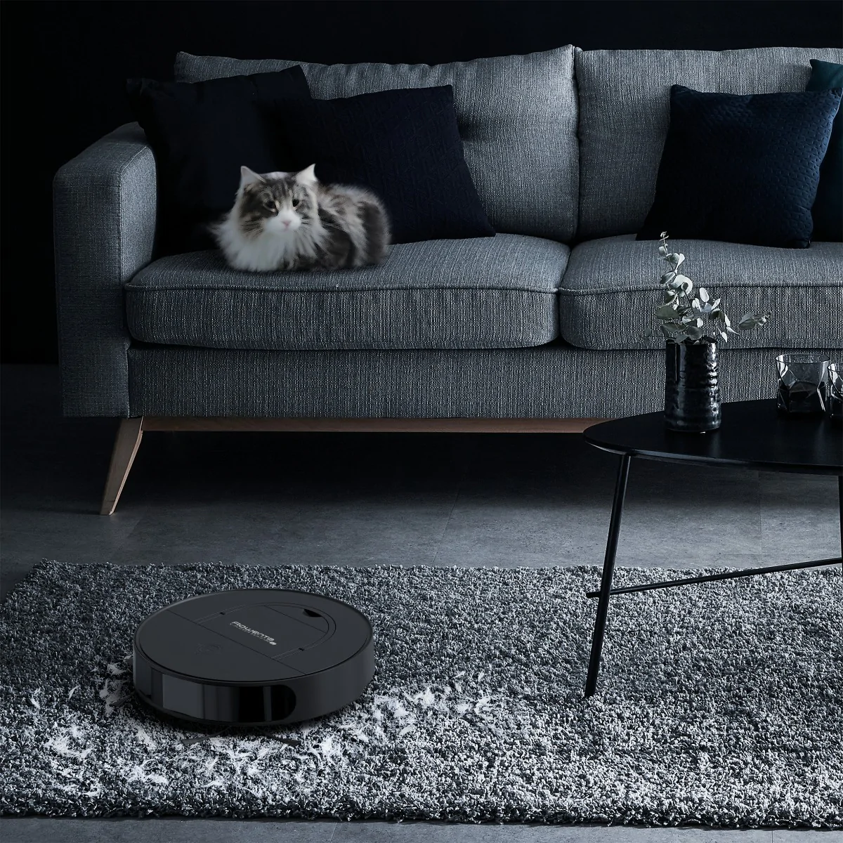 Робот-пилосос Rowenta X-PLORER S130AI Animal & Allergy Black RR9075WH