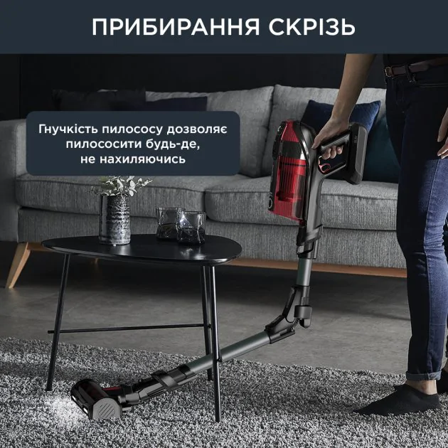 Акумуляторний пилосос Rowenta X-Force Flex 12.60 Auto Animal RH98A9WO