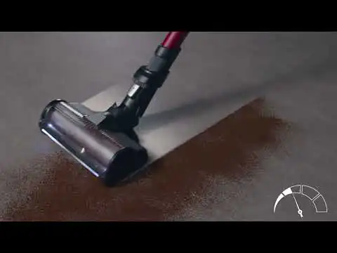 Акумуляторний пилосос Rowenta X-Force Flex 16.60 Animal RH9C71E0