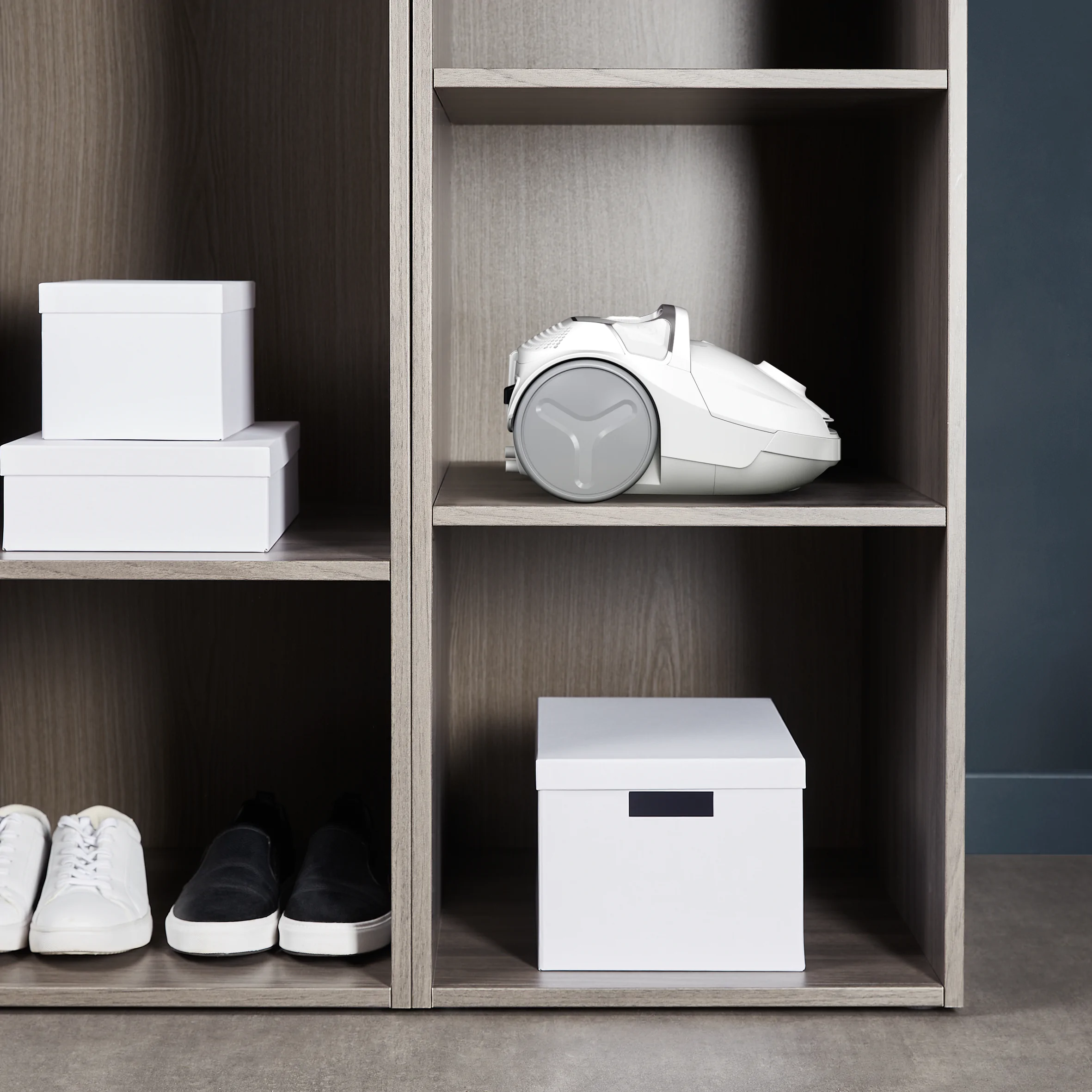 Пилосос для сухого прибирання Rowenta Compact Power RO3927EA