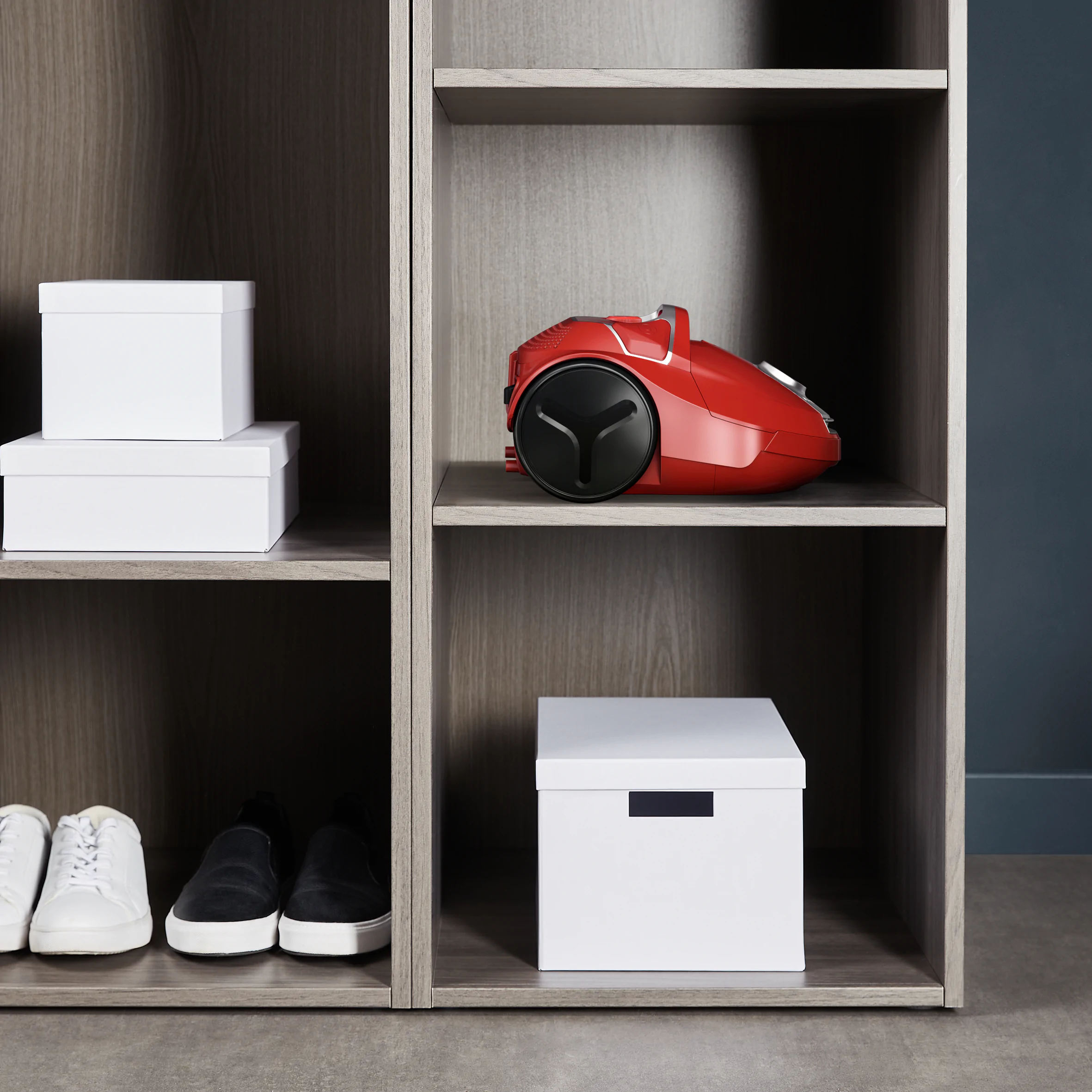 Пилосос для сухого прибирання Rowenta Compact Power RO3953EA